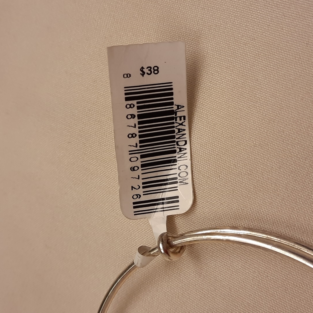 NWT, Alex and Ani 2015 Team USA Flame Epoxy Bracelet - Picture 9 of 10